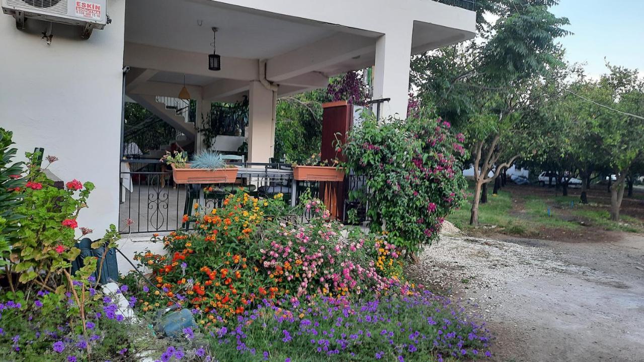 Teo Hotel&Pansion Çıralı Luaran gambar