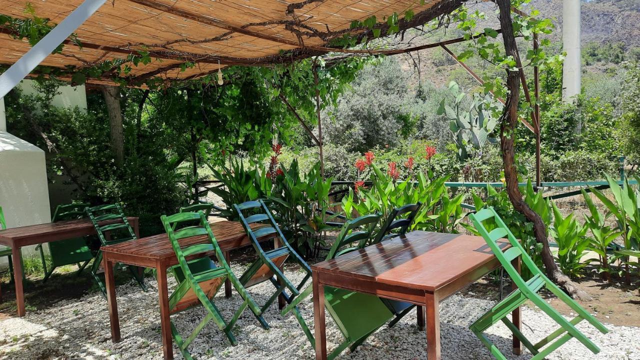 Teo Hotel&Pansion Çıralı Luaran gambar