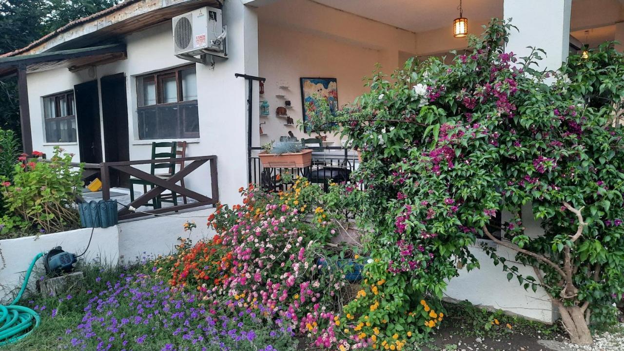Teo Hotel&Pansion Çıralı Luaran gambar