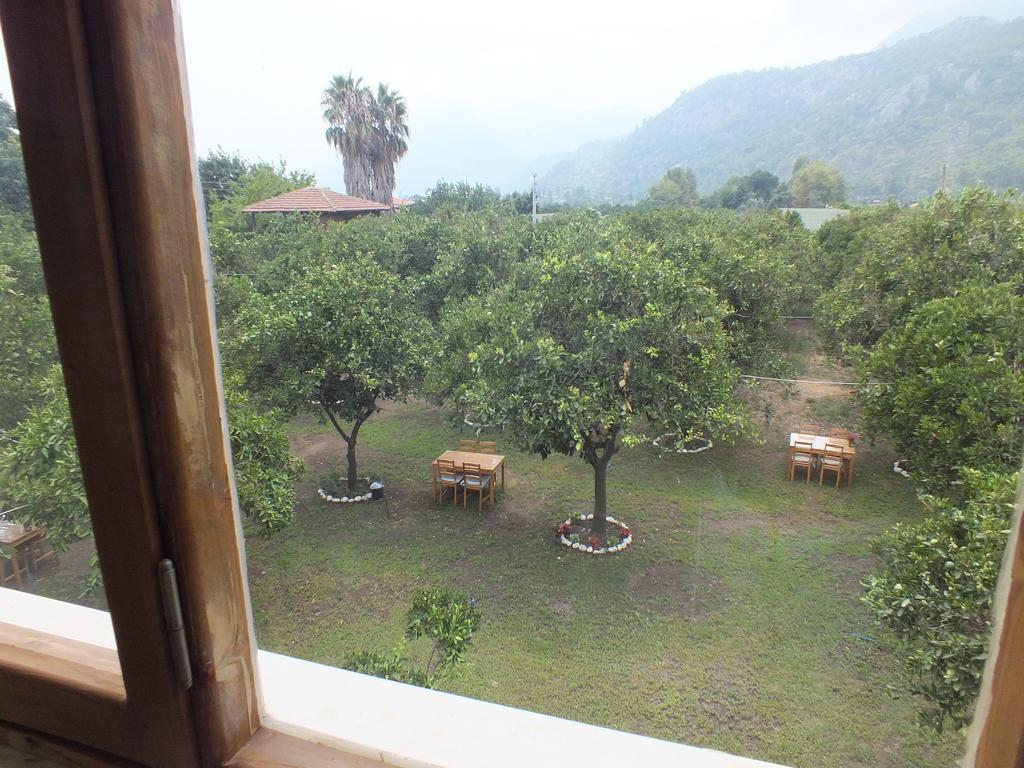 Teo Hotel&Pansion Çıralı Bilik gambar